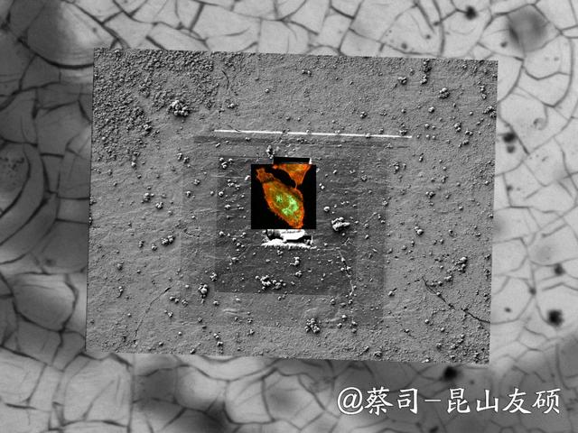 驻马店驻马店蔡司驻马店扫描电镜