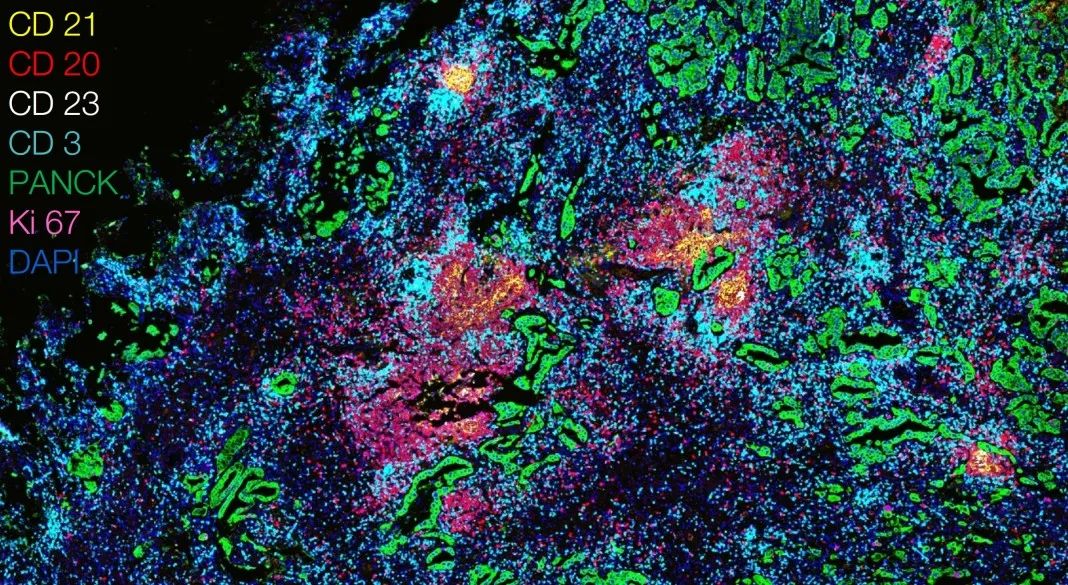 驻马店驻马店蔡司显微镜 驻马店驻马店蔡司显微镜