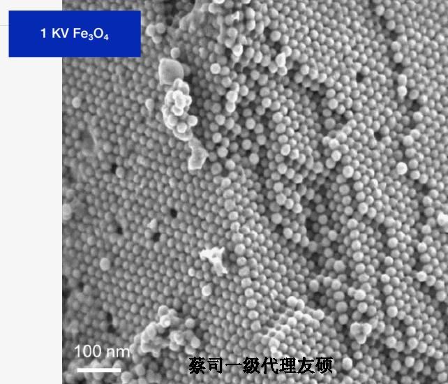 驻马店驻马店蔡司驻马店扫描电镜